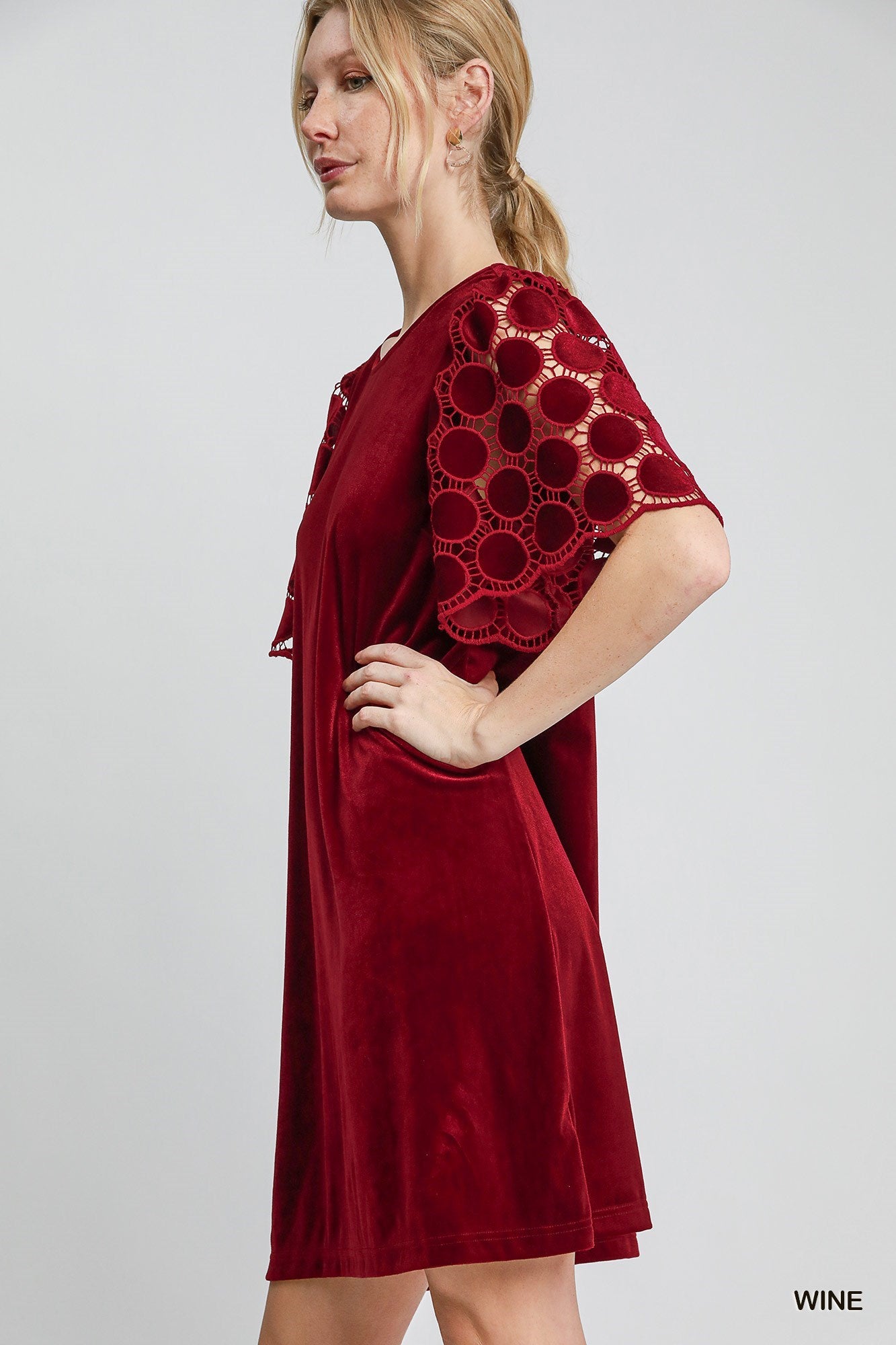 Dotted Lace Sleeve Velvet Dress