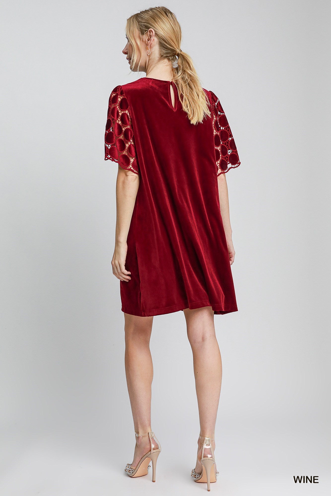 Dotted Lace Sleeve Velvet Dress