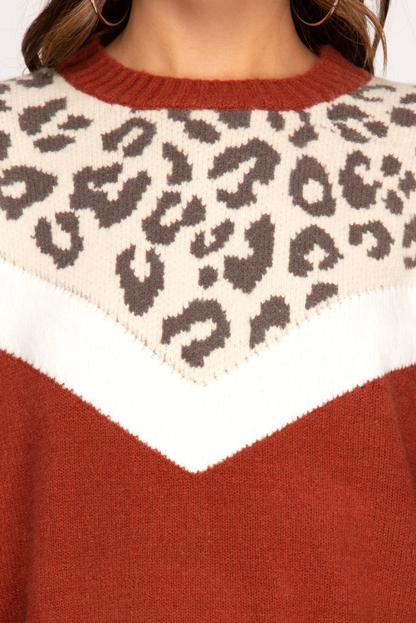 Long Balloon Sleeve Color Block Sweater w/Animal Print Detail